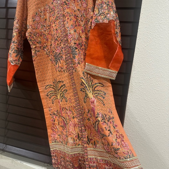 Pakistani dresses - Picture 2 of 11